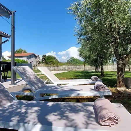 Studio House Lelo