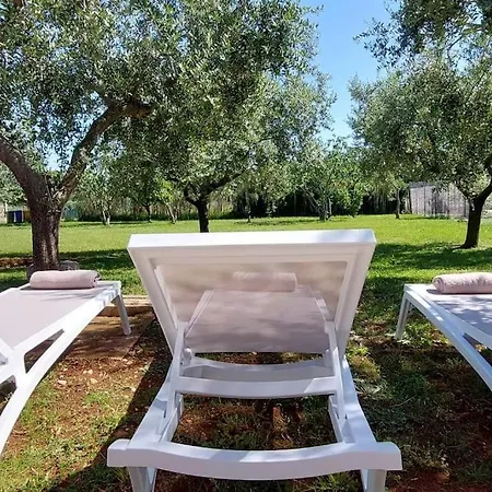 Holiday home Studio House Lelo Novigrad (Istria)