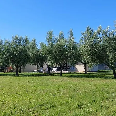 Holiday home Studio House Lelo